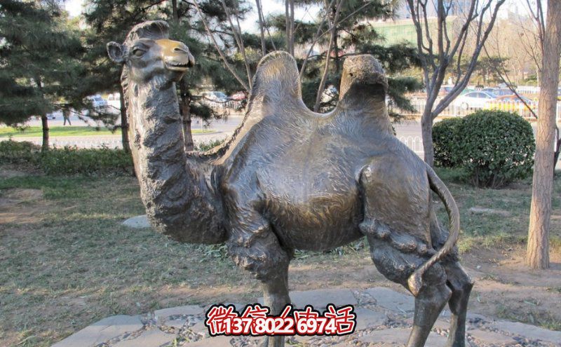創(chuàng)意大型玻璃鋼駱駝雕塑，在草地上擺放，一眼回頭